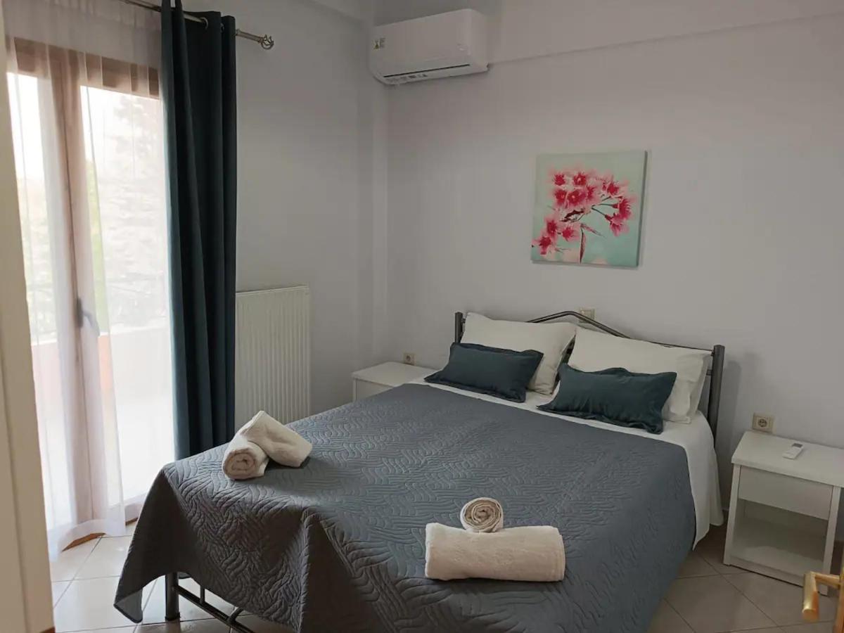 Turla'S Apartment ذيسْخا المظهر الخارجي الصورة